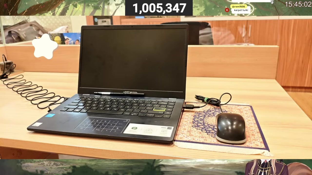 [Desk Review] Risu baffled by a "BUMC PEMDA" government desk