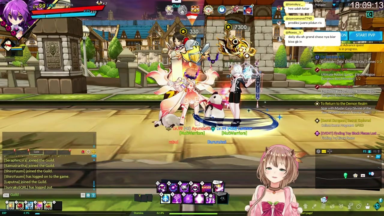 [ELSWORD] Risu Ends Stream After Skill Check