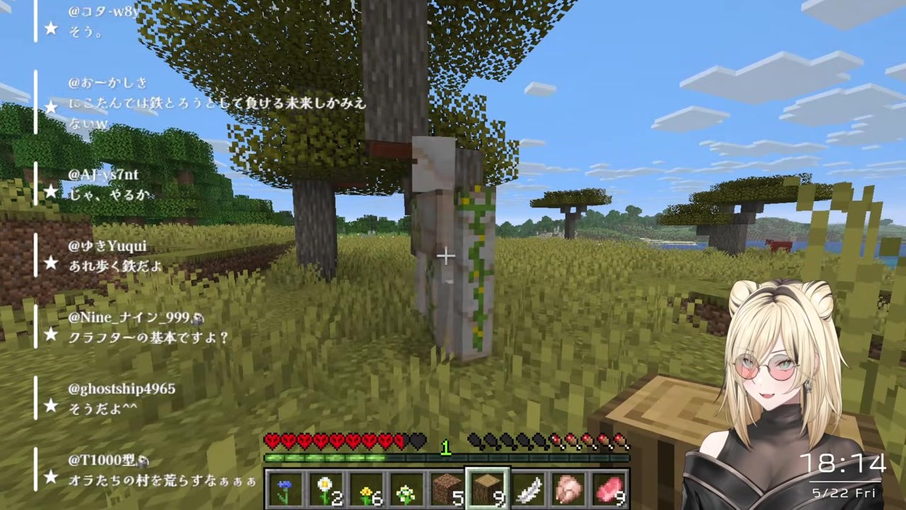 【マイクラ】「歩く鉄」ゴーレムを素手で穴殴りする虎金妃笑虎